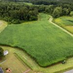 Expansive aerial image showing lush green fields adjacent to a forest and farmland structures.
